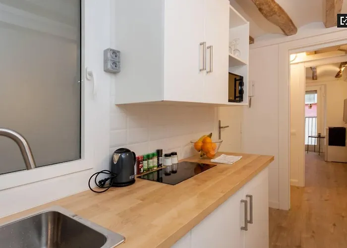 Ramblas Apartments 3Dot6 5 *
