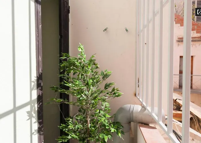 Ramblas Apartments 3Dot6 5